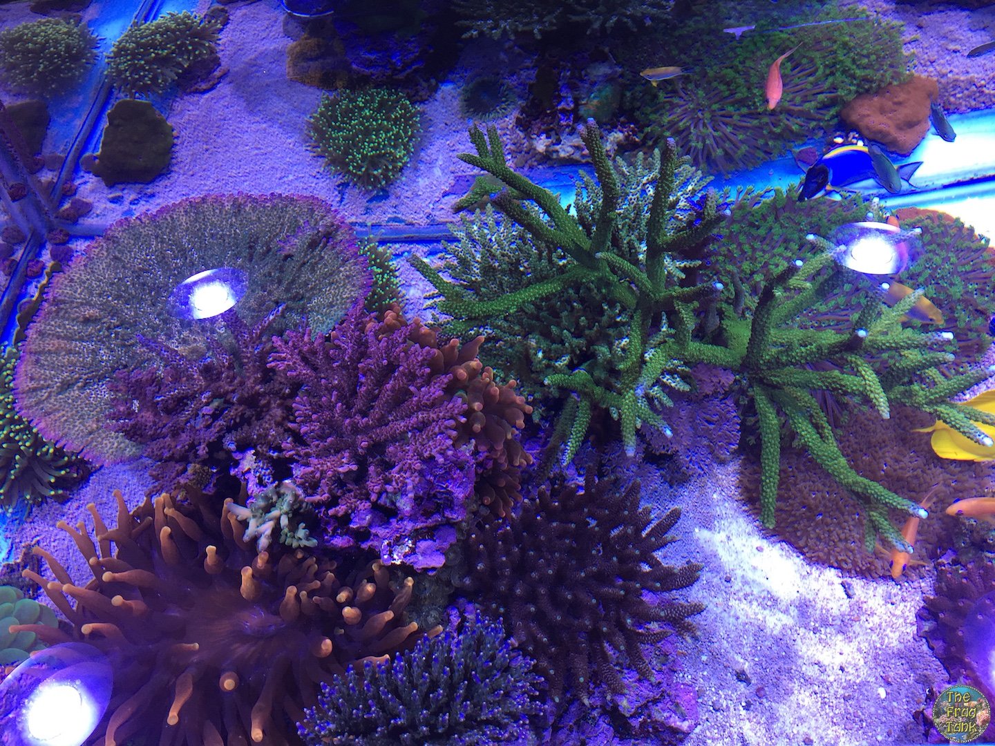 IMG_6484.JPG