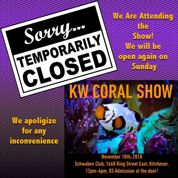 kw closed.jpg