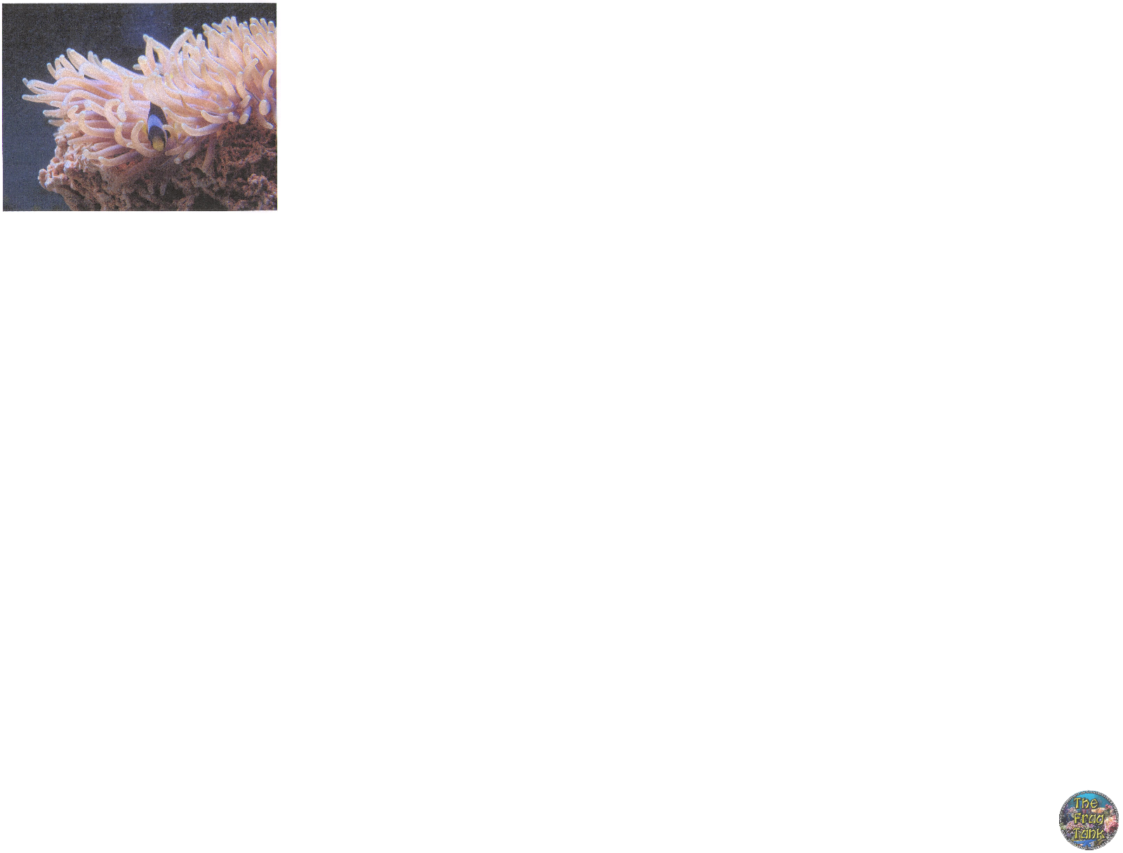 Untitled.png