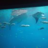 IMG_20161102_1642238.jpg