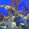 IMG_20161102_1651427.jpg