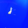 IMG_20161102_1653189.jpg