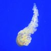 IMG_20161102_1653346.jpg