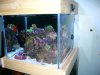 Picture 010.jpg