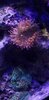 20201110_202752.jpg