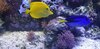 20201112_174113.jpg
