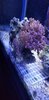 20201116_175449.jpg