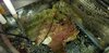 20201118_203555.jpg