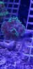 20201123_174035.jpg
