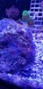 20201121_162322.jpg
