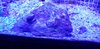 20201121_162332.jpg