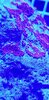 20201128_214130.jpg