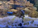 IMG_6416.jpeg