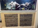 IMG_2915.jpeg