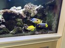 IMG_2924.jpeg