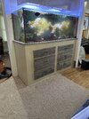 IMG_2892.jpeg