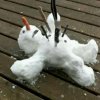 dead snow man.jpg