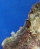 IMG_9042crop.JPG