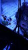 20160508_211609.jpg