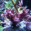 IMG_20160906_173804.jpg